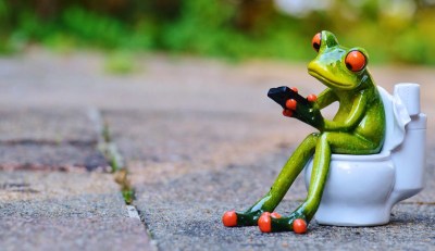 frog statue sitting on toilet with phone